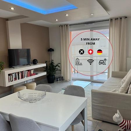 شقة A Few Steps From Basel With Balcony And Free Private Parking سا لووي المظهر الخارجي الصورة
